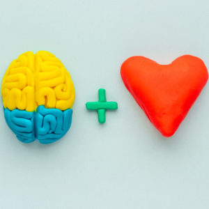 Emociones y su función